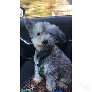 Meet your Posher, Tiffany